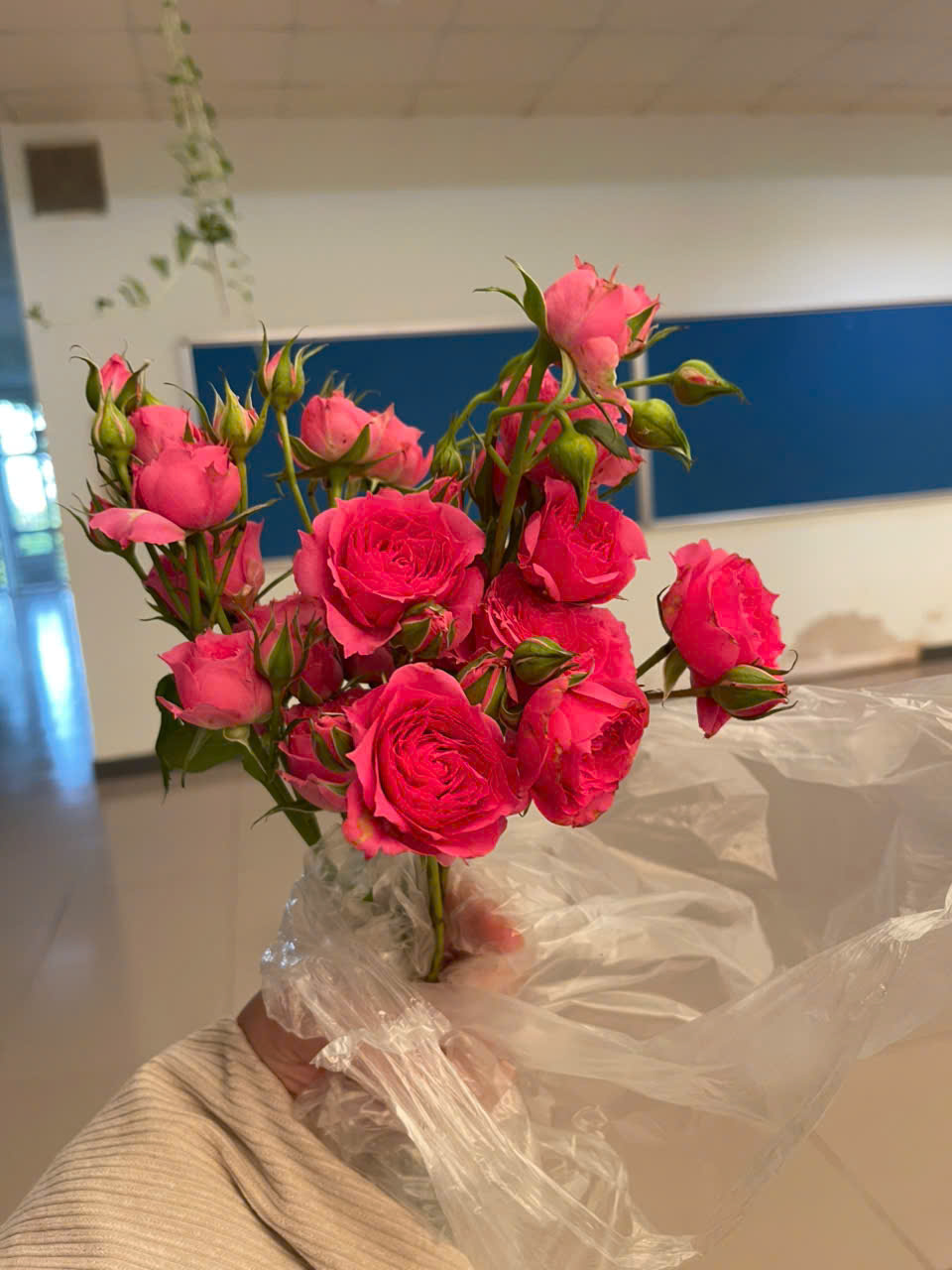 Bloomery final product